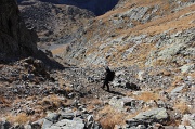  dans le couloir du jas des moutons
